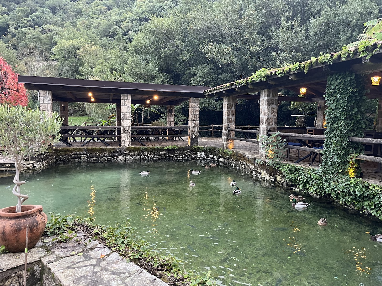 Ćatovića Mlini Photo 16